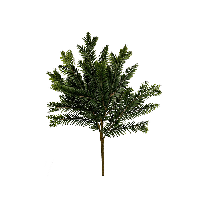 Hemlock Evergreen Stems